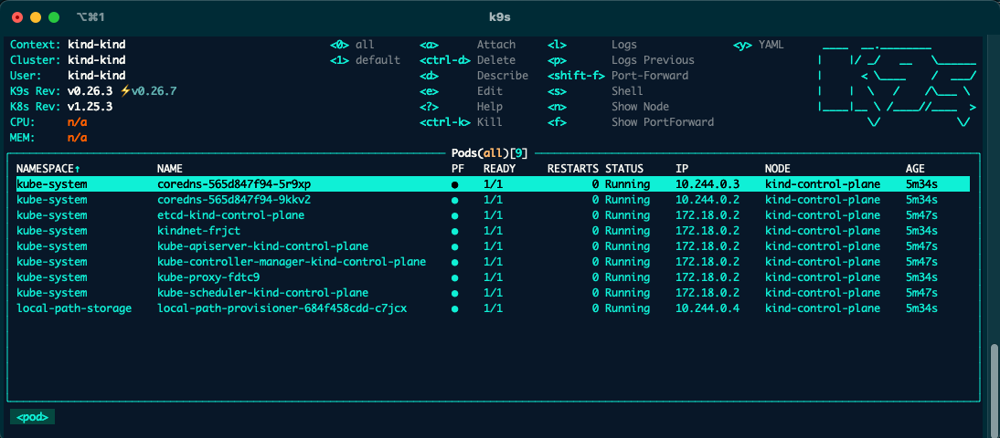 Screenshot of k9s after connecting to the newly created cluster